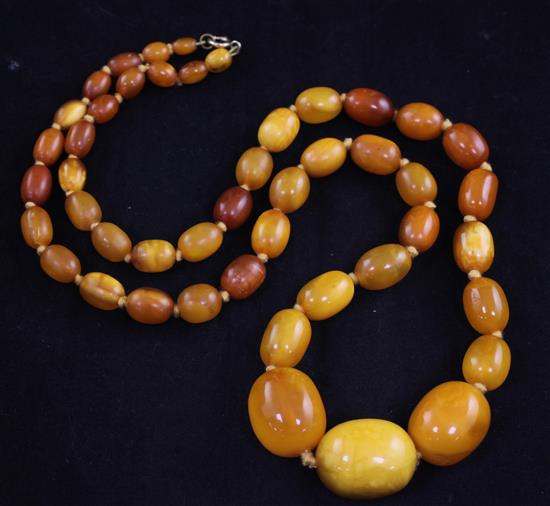 A single strand graduated oval amber bead necklace, 28in.
